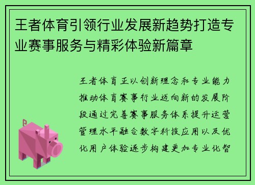 王者体育引领行业发展新趋势打造专业赛事服务与精彩体验新篇章